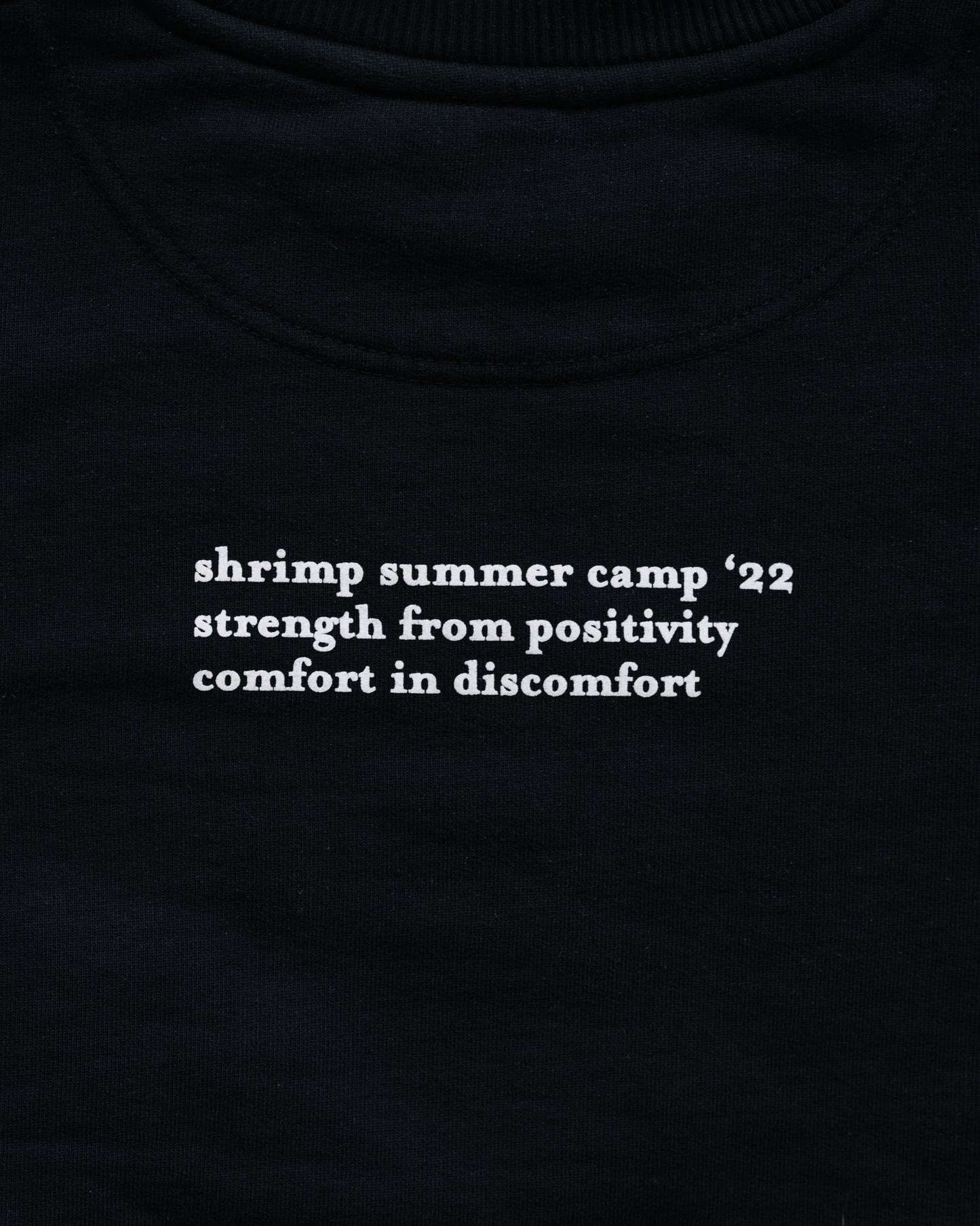 Shrimp Summer Camp Heavyweight Logo Crew